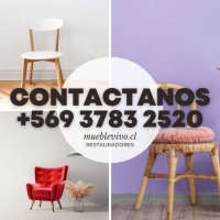 Restauración de Sillas y Butacas Barrio Portal la Reina